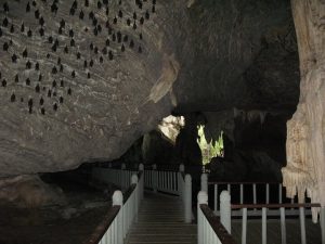 Langkawi Bat Cave 兰卡威蝙蝠洞 05