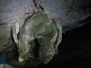 Langkawi Bat Cave 兰卡威蝙蝠洞 06