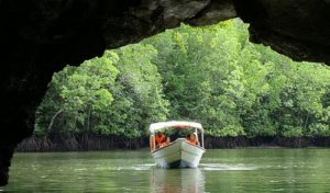 Langkawi Crocodile Cave 兰卡威鳄鱼洞 01
