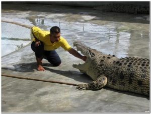 Langkawi - Crocodile Farm 兰卡威鳄鱼场