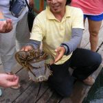 Langkawi Fish Farm 兰卡威养鱼场 03