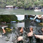 Langkawi Fish Farm 兰卡威养鱼场 04