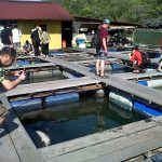 Langkawi Fish Farm 兰卡威养鱼场 05