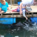 Langkawi Fish Farm 兰卡威养鱼场 07