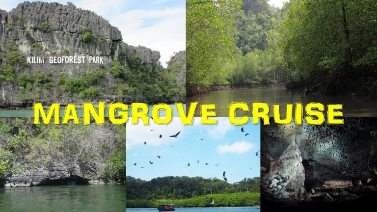 Langkawi Mangrove Tour 兰卡威红树林游