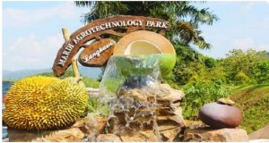 Langkawi Mardi Agro Park 兰卡威水果园
