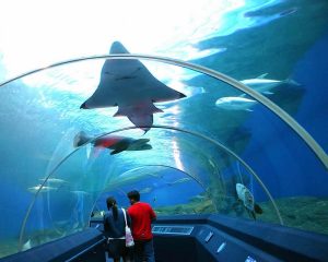 Langkawi - Underwater World 兰卡威水族馆