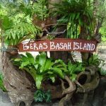 Langkawi Wet Rice Island 兰卡威湿米岛 01