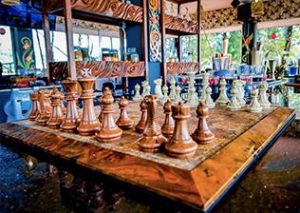 Paradise 101 Langkawi - Games - Volleyball, Bar Games and Board Games