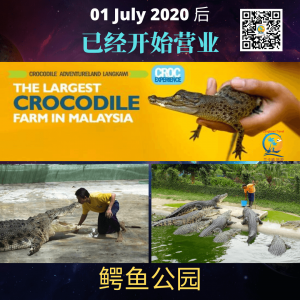 Langkawi 可以进来旅游了 10