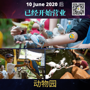 Langkawi 可以进来旅游了 2