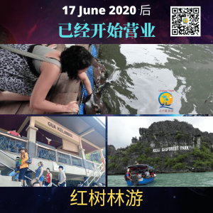 Langkawi 可以进来旅游了 4