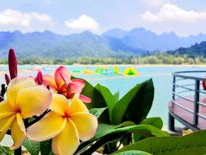 Paradise 101 Langkawi-2020-04